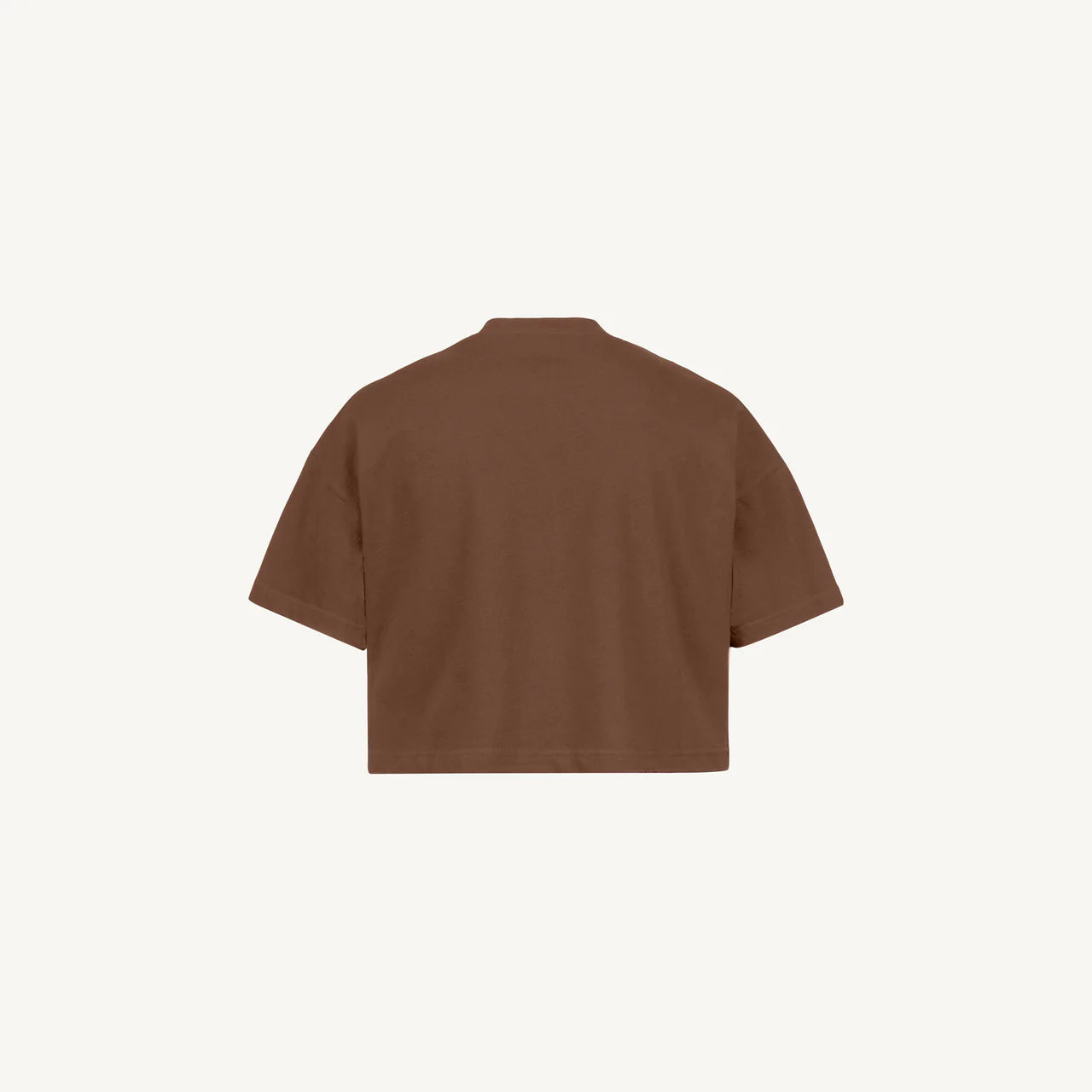 Vintage Brown Cropped Oversized Tee