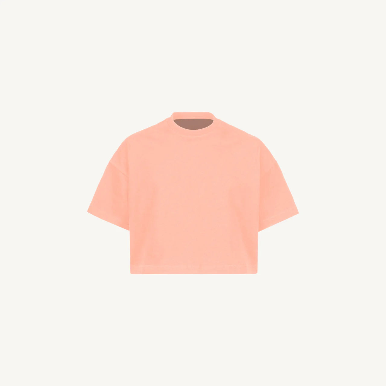 Pink Clay Cropped Oversized Tee